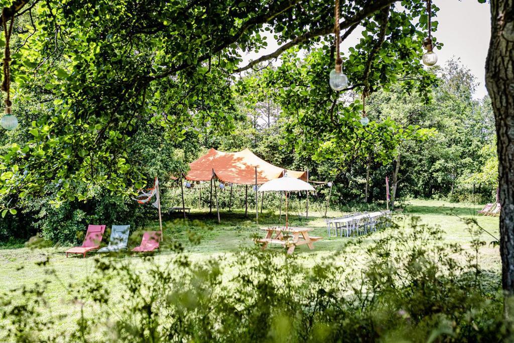 Tinyparks Eiland Tiengemeten Hotel Zuid-Beijerland