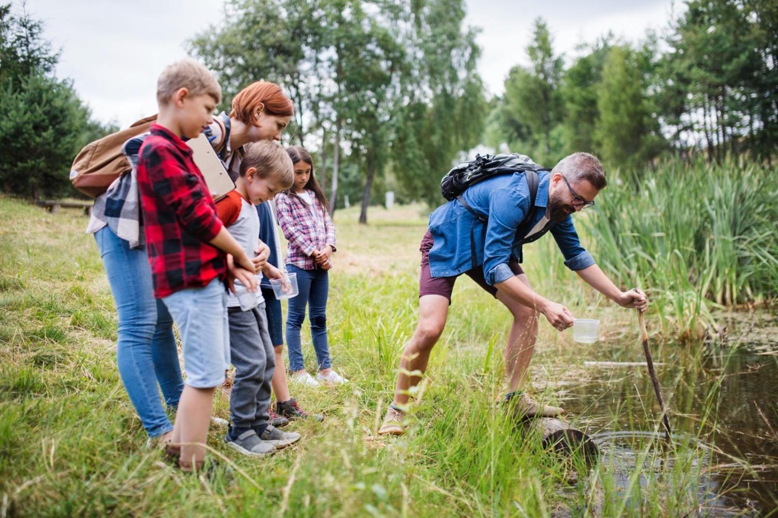 Tinyparks Eiland Tiengemeten 3* Zuid-Beijerland